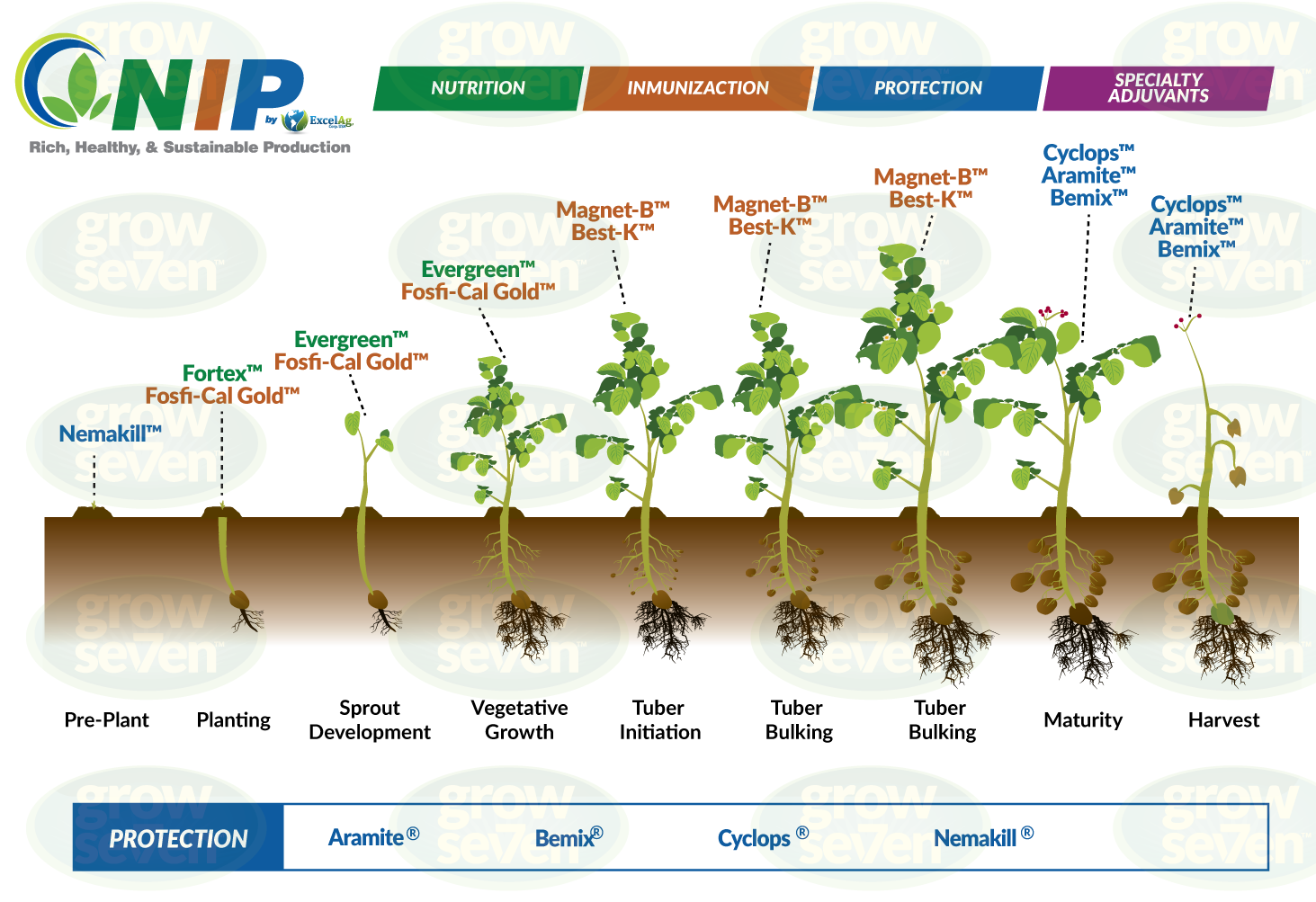 G7---Potato-Crop-Chart